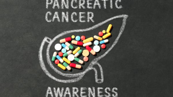 Pancreatic Cancer is a priority for the Anticancer Fund