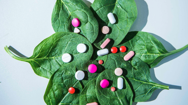 The Anticancer Fund is an independent cancer research organisation.