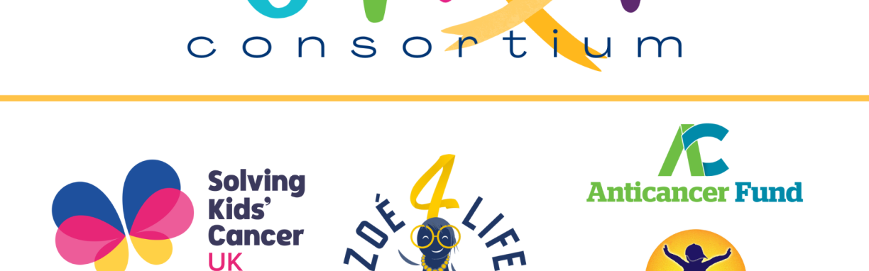 This consortium, with the Anticancer Fund, wants to find a cure for children with neuroblastoma